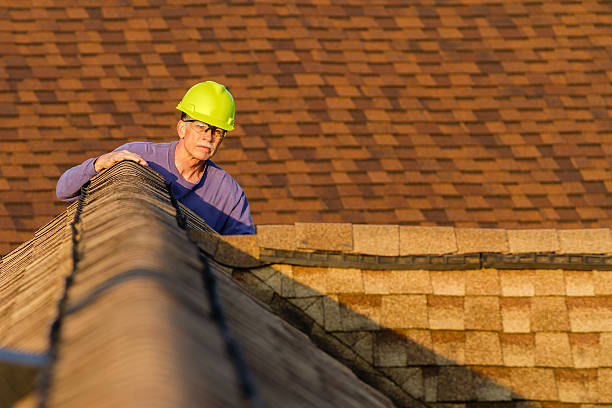 Best Roof Gutter Cleaning  in Grover, WY
